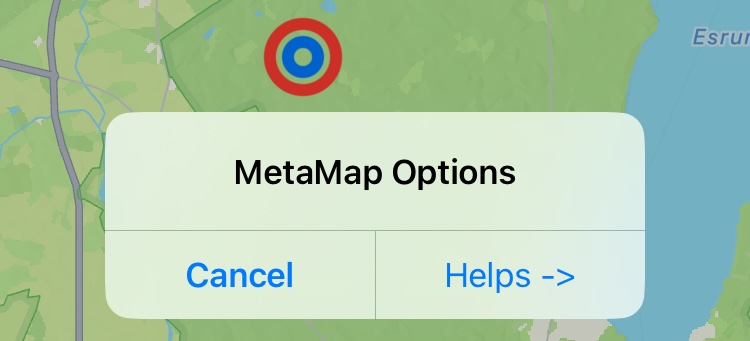 MetaMap Options Menu