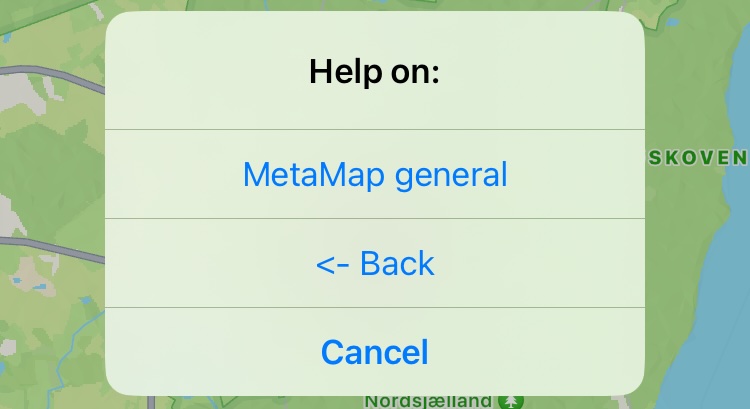 MetaMap Help pages