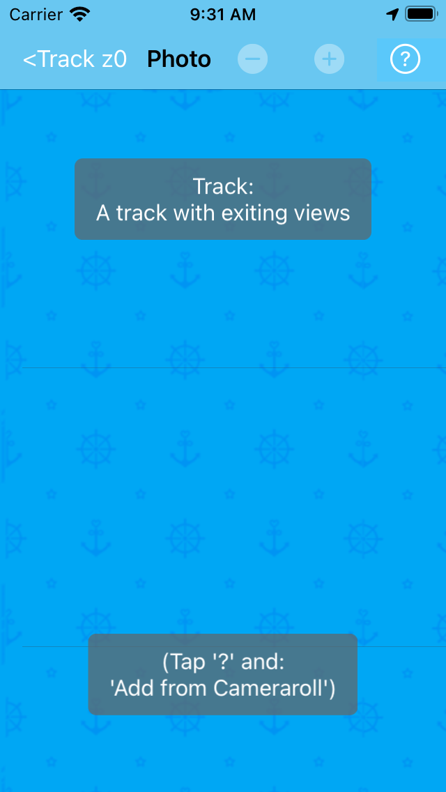 Initial screen in single track mode