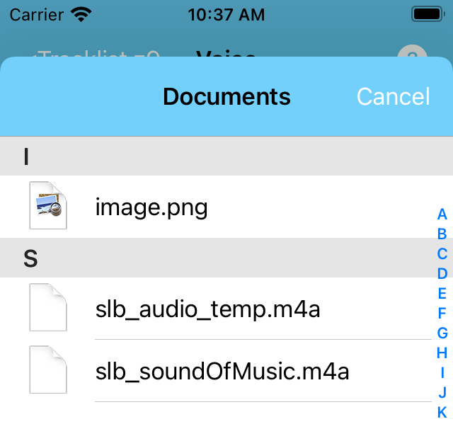Voice Options Menu action: Import Voice from file to Voice Clb
